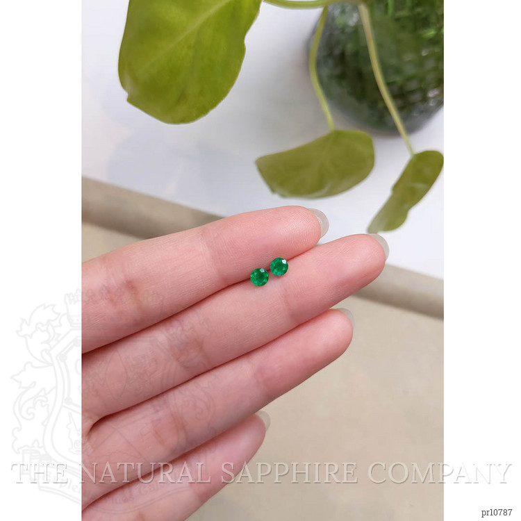 0.46 Ct.Tw. Emerald Pair from Colombia