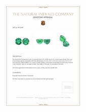 0.45 Ct.Tw.Total Carat Weight Emerald Pair from Zambia Appraisal