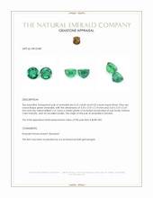 0.45 Ct.Tw.Total Carat Weight Emerald Pair from Zambia Appraisal