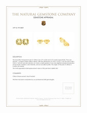 9.47 Ct.Tw.Total Carat Weight Citrine Pair from Ceylon (Sri Lanka) Appraisal