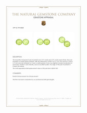 4.14&nbsp;Ct.Tw.Total Carat Weight Peridot Pair from Ceylon (Sri Lanka) Appraisal