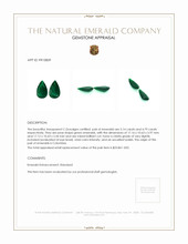 9.92 Ct.Tw.Total Carat Weight Emerald Pair from Colombia Appraisal