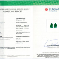 9.92 Ct.Tw.Total Carat Weight Emerald Pair from Colombia Pdf