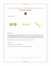 0.84&nbsp;Ct.Tw.Total Carat Weight Yellow Sapphire Pair from Ceylon (Sri Lanka) Appraisal