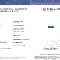 8.24 Ct.Tw.Total Carat Weight Blue Sapphire Pair from Ceylon (Sri Lanka) Scan Report