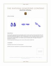 1.07 Ct.Tw.Total Carat Weight Tanzanite Pair from Tanzania Appraisal