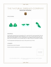 0.67&nbsp;Ct.Tw.Total Carat Weight Emerald Pair from Colombia Appraisal
