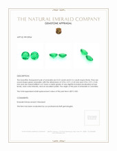 0.38&nbsp;Ct.Tw.Total Carat Weight Emerald Pair from Colombia Appraisal