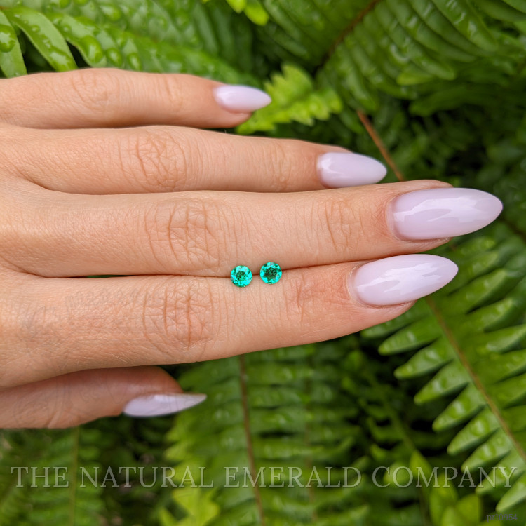 0.38 Ct.Tw. Emerald Pair from Colombia