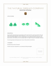0.91 Ct.Tw.Total Carat Weight Emerald Pair Appraisal