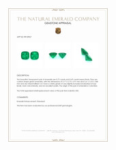 1.41 Ct.Tw.Total Carat Weight Emerald Pair from Colombia Appraisal