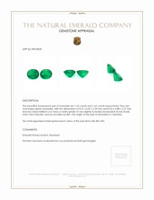 3.27 Ct.Tw.Total Carat Weight Emerald Pair from Colombia Appraisal