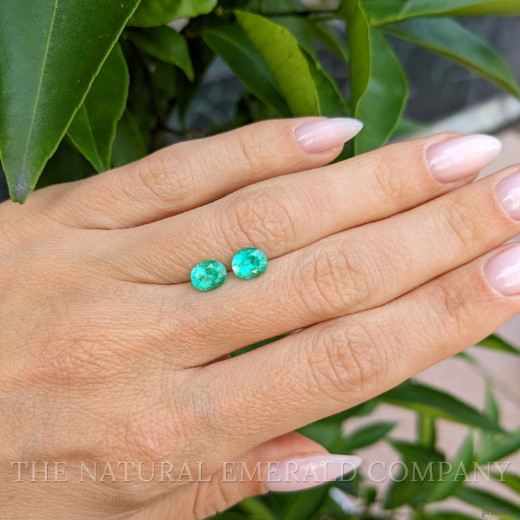 1.44 Ct.Tw. Emerald Pair from Colombia