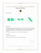 1.26 Ct.Tw.Total Carat Weight Emerald Pair from Colombia Appraisal