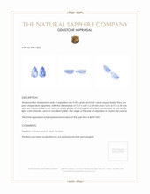 1.65 Ct.Tw.Total Carat Weight Blue Sapphire Pair from Ceylon (Sri Lanka) Appraisal