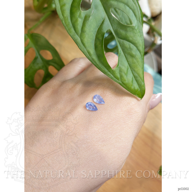 1.65 Ct.Tw. Blue Sapphire Pair from Ceylon (Sri Lanka)