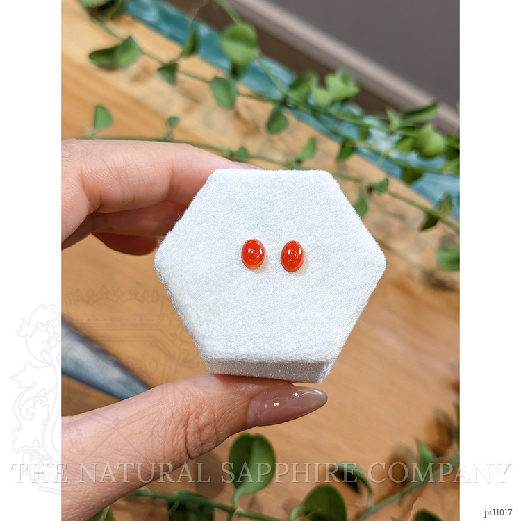 1.34 Ct.Tw. Cabochon Coral Pair from Italy