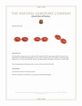 1.60&nbsp;Ct.Tw.Total Carat Weight Cabochon Coral Pair from Italy Appraisal