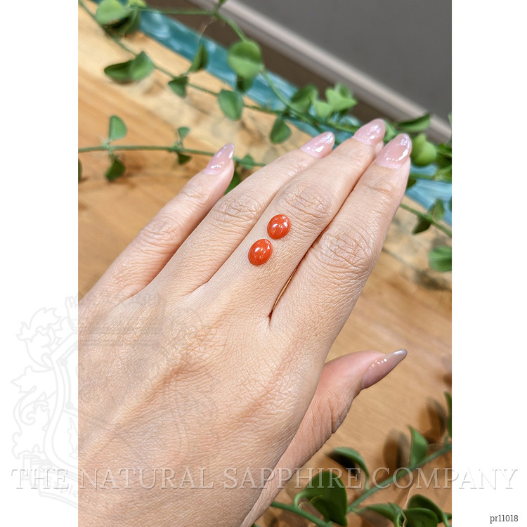 1.60 Ct.Tw. Cabochon Coral Pair from Italy