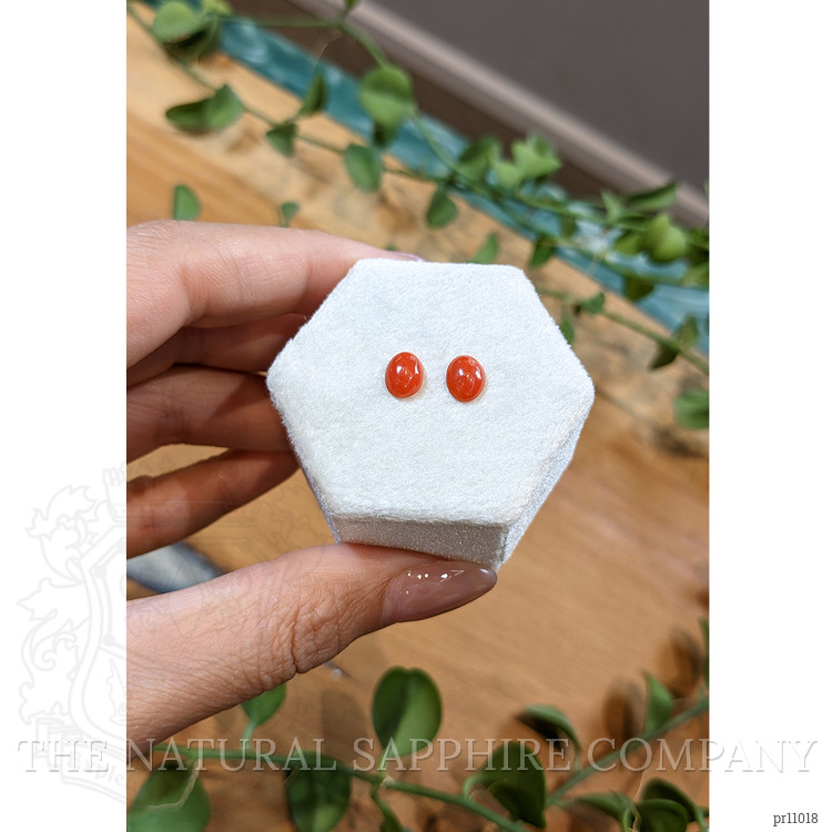 1.60 Ct.Tw. Cabochon Coral Pair from Italy