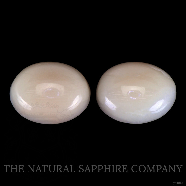 4.87 Ct.Tw. Cabochon Coral Pair from Italy