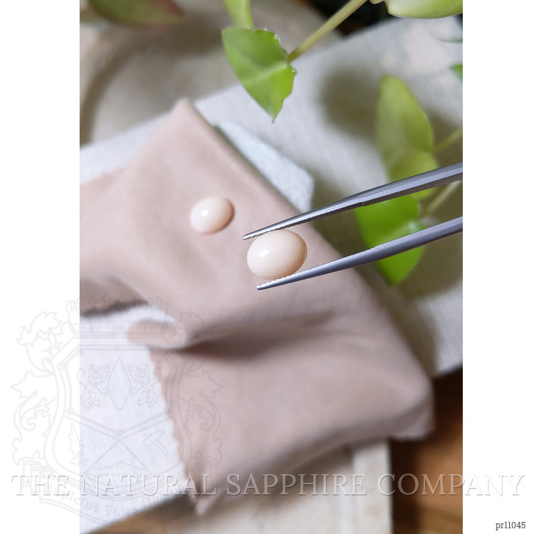 4.87 Ct.Tw. Cabochon Coral Pair from Italy