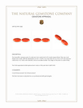 7.97&nbsp;Ct.Tw.Total Carat Weight Cabochon Coral Pair from Italy Appraisal