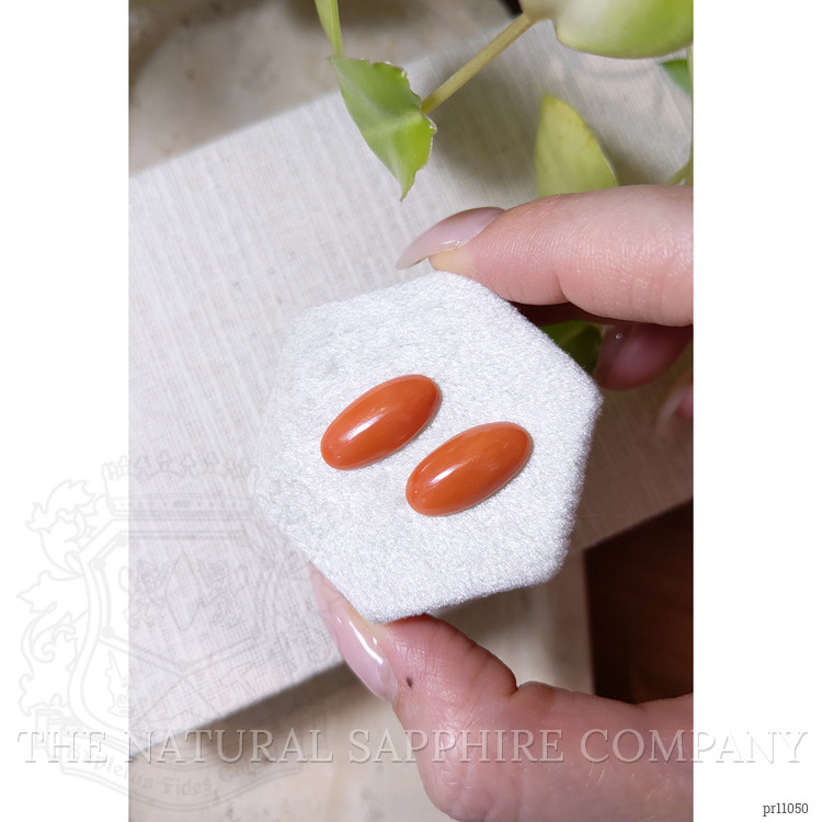 7.97 Ct.Tw. Cabochon Coral Pair from Italy