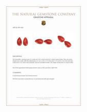 1.15 Ct.Tw.Total Carat Weight Cabochon Coral Pair from Italy Appraisal