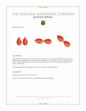 6.14 Ct.Tw.Total Carat Weight Salmon (Orangish Red) Cabochon Coral Pair from Italy Appraisal