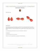 6.14 Ct.Tw.Total Carat Weight Cabochon Coral Pair from Italy Appraisal