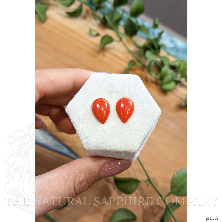 6.14 Ct.Tw. Cabochon Coral Pair from Italy