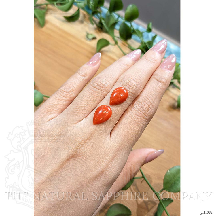 6.14 Ct.Tw. Cabochon Coral Pair from Italy