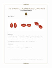 1.60 Ct.Tw.Total Carat Weight Orangish Red Cabochon Coral Pair from Italy Appraisal