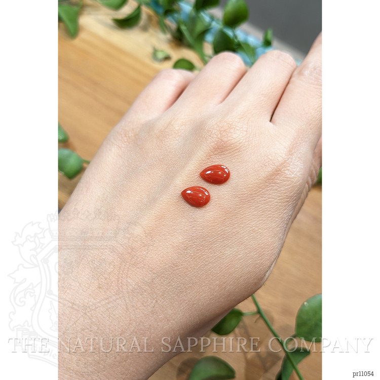 1.81 Ct.Tw. Cabochon Coral Pair from Italy