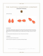 0.62 Ct.Tw.Total Carat Weight Salmon (Orange) Cabochon Coral Pair from Italy Appraisal