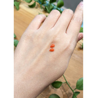 0.62 Ct.Tw.Total Carat Weight Cabochon Coral Pair from Italy Life Style