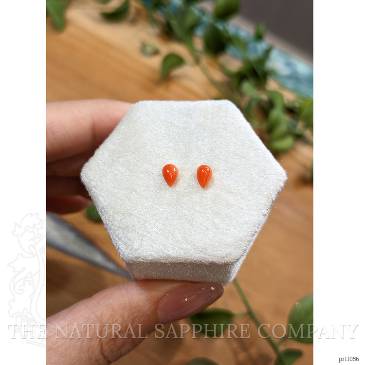 0.62 Ct.Tw. Cabochon Coral Pair from Italy