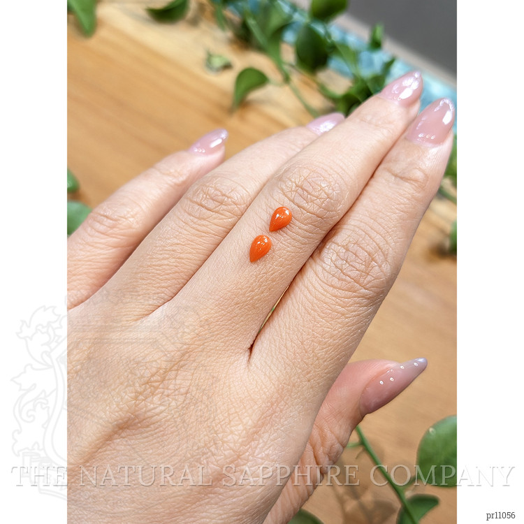 0.62 Ct.Tw. Cabochon Coral Pair from Italy