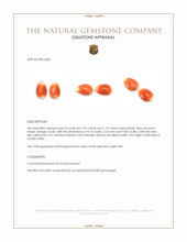 2.26 Ct.Tw.Total Carat Weight Salmon (Orange) Cabochon Coral Pair from Italy Appraisal