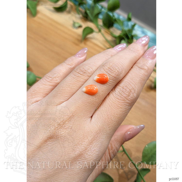 2.26 Ct.Tw. Cabochon Coral Pair from Italy