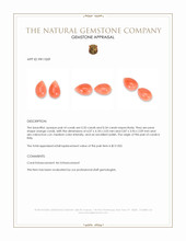 0.67&nbsp;Ct.Tw.Total Carat Weight Cabochon Coral Pair from Italy Appraisal