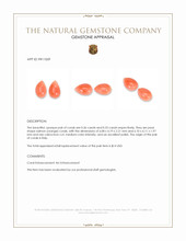 0.69 Ct.Tw.Total Carat Weight Salmon (Orange) Cabochon Coral Pair from Italy Appraisal