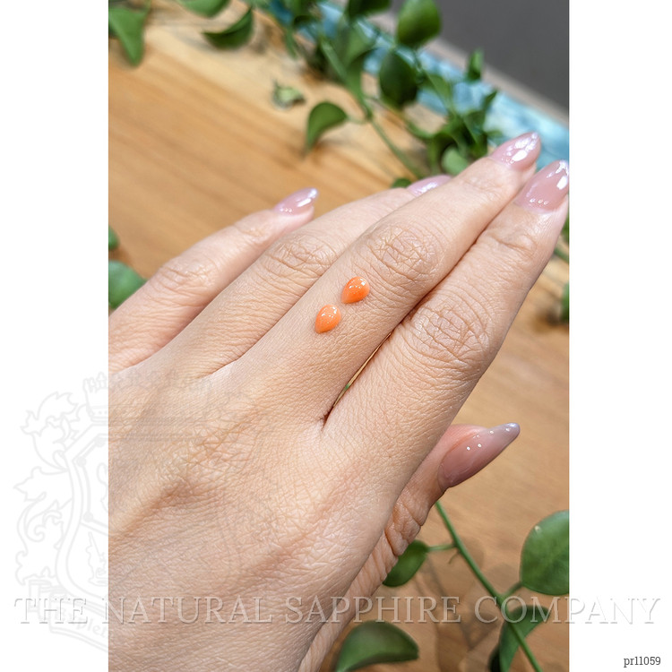 0.67 Ct.Tw. Cabochon Coral Pair from Italy