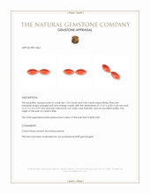 4.00 Ct.Tw.Total Carat Weight Cabochon Coral Pair from Italy Appraisal