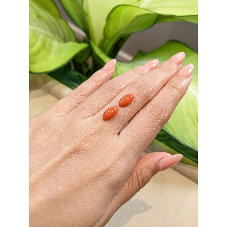4.00 Ct.Tw. Cabochon Coral Pair from Italy