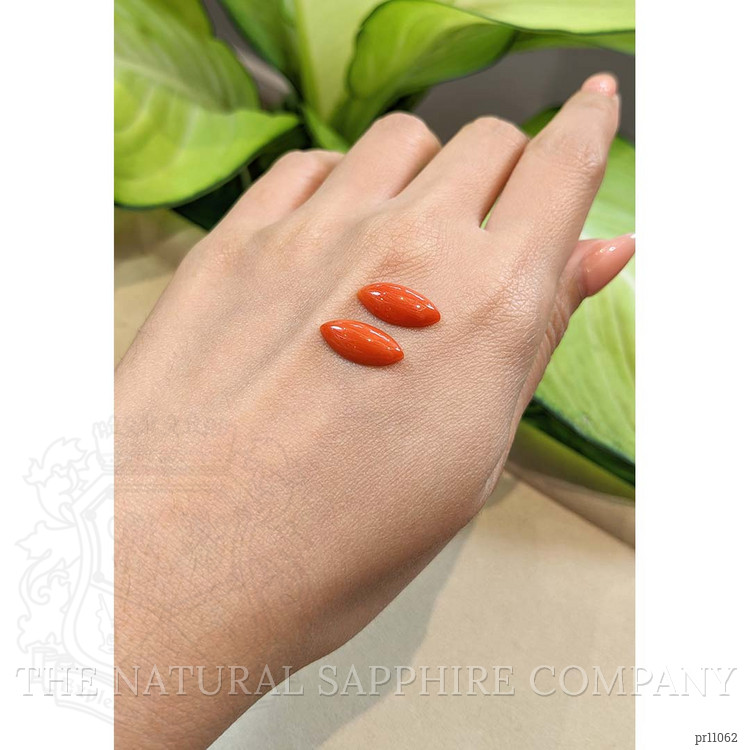 5.47 Ct.Tw. Cabochon Coral Pair from Italy