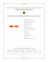 0.60&nbsp;Ct.Tw.Total Carat Weight Cabochon Coral Pair from Italy Scan Report