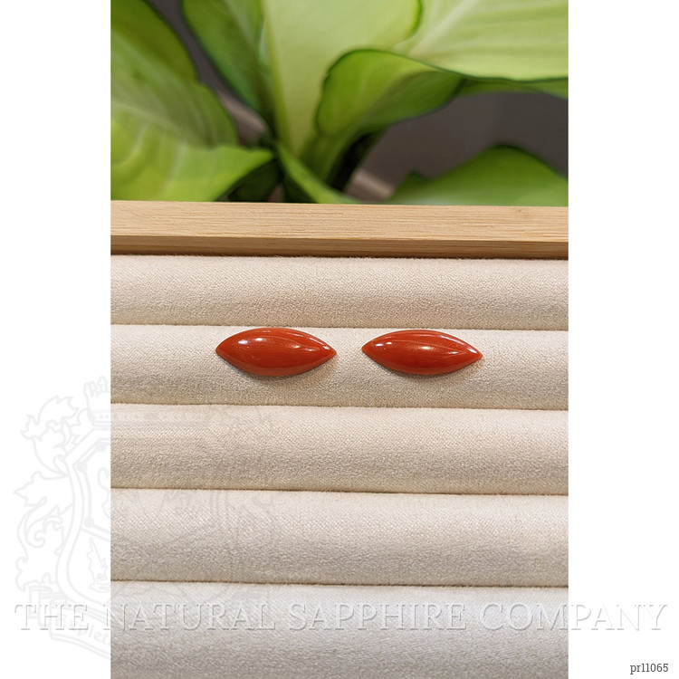 10.42 Ct.Tw. Cabochon Coral Pair from Italy