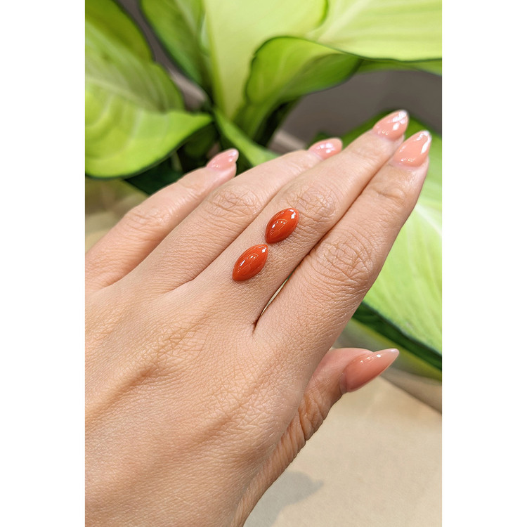 3.60 Ct.Tw. Cabochon Coral Pair from Italy